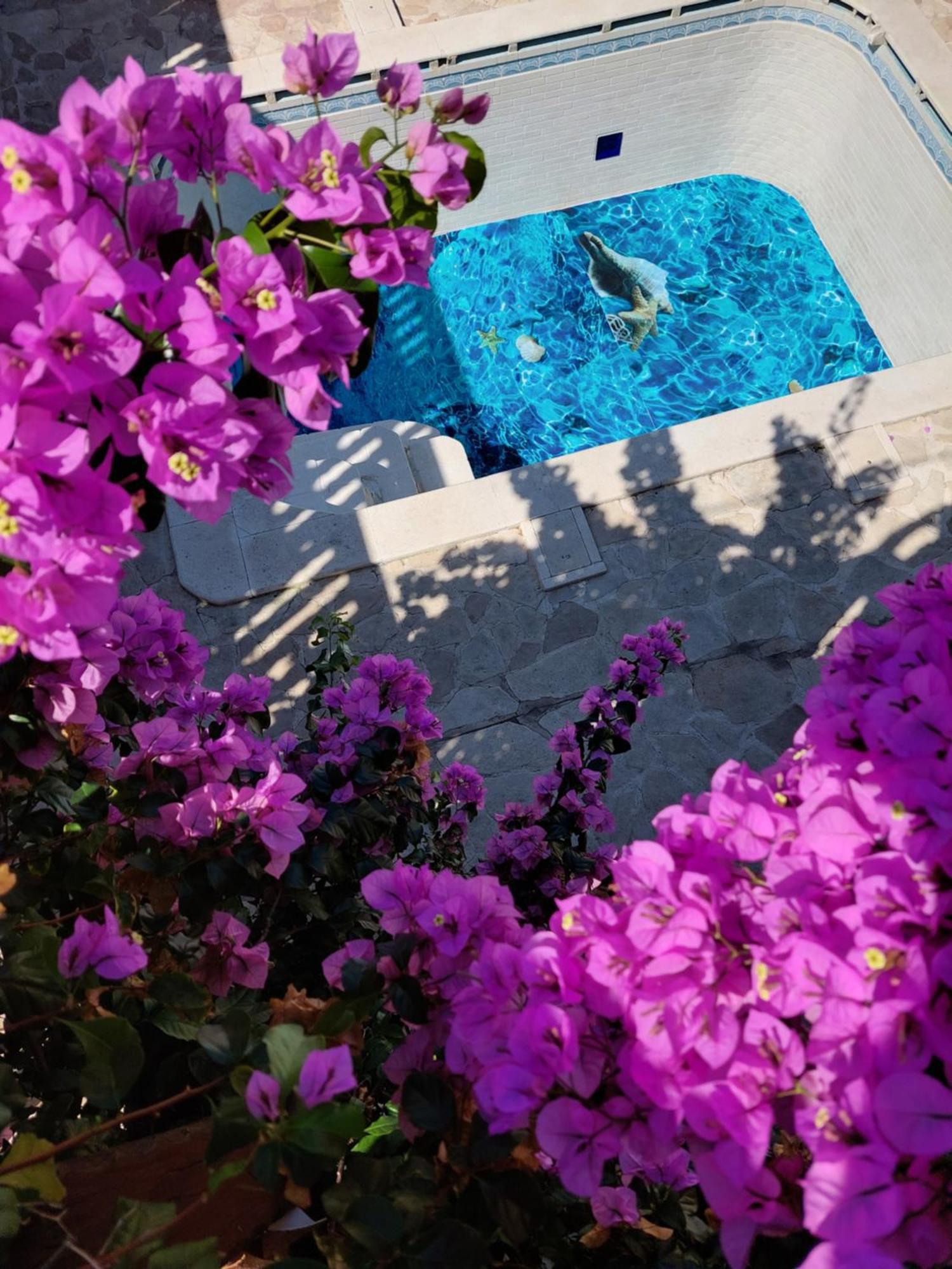 Studios Villa Romantica Zadar Bagian luar foto